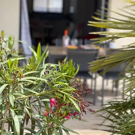فيلة Sunset, Villa Moderne Avec Spa Pres De Montalivet Vensac